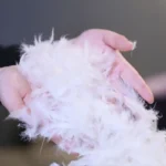 ⁦مخدة ريش بغطاء قطن 100٪⁩ - الصورة ⁦2⁩